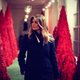 Illustration for article titled No Blood Trees Allowed in the Official White House Christmas Portrait